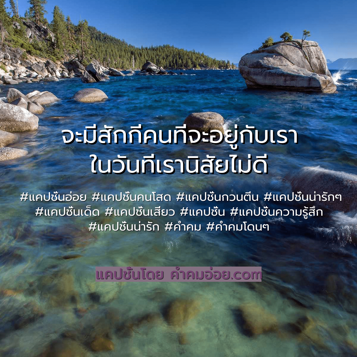 แคปชั่นกวนตีน