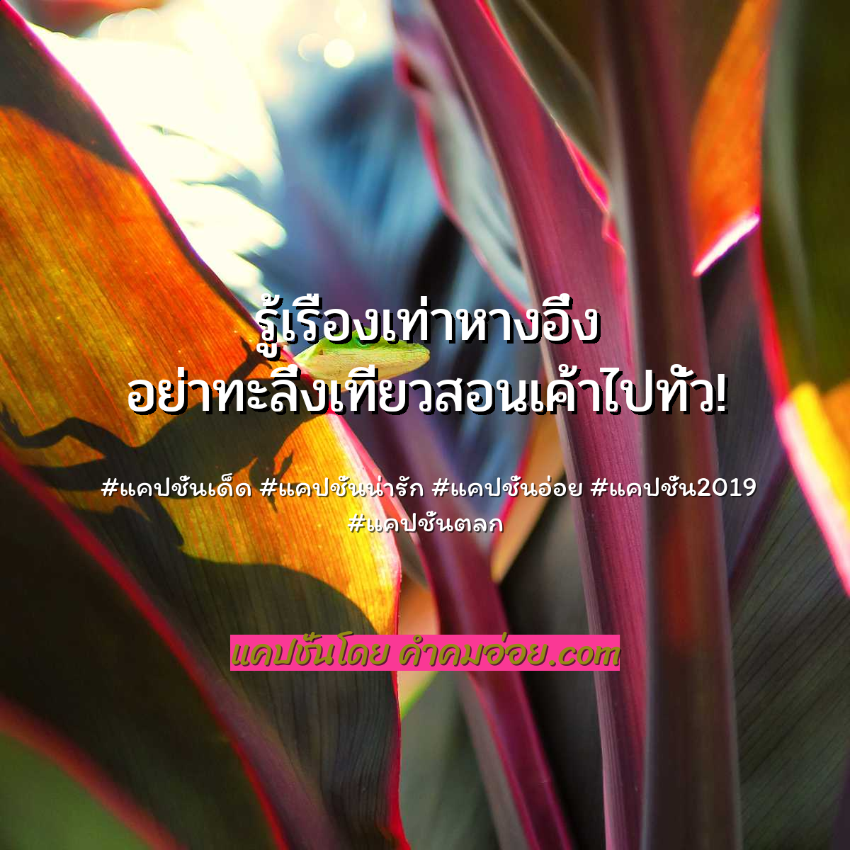 แคปชั่นอ่อย