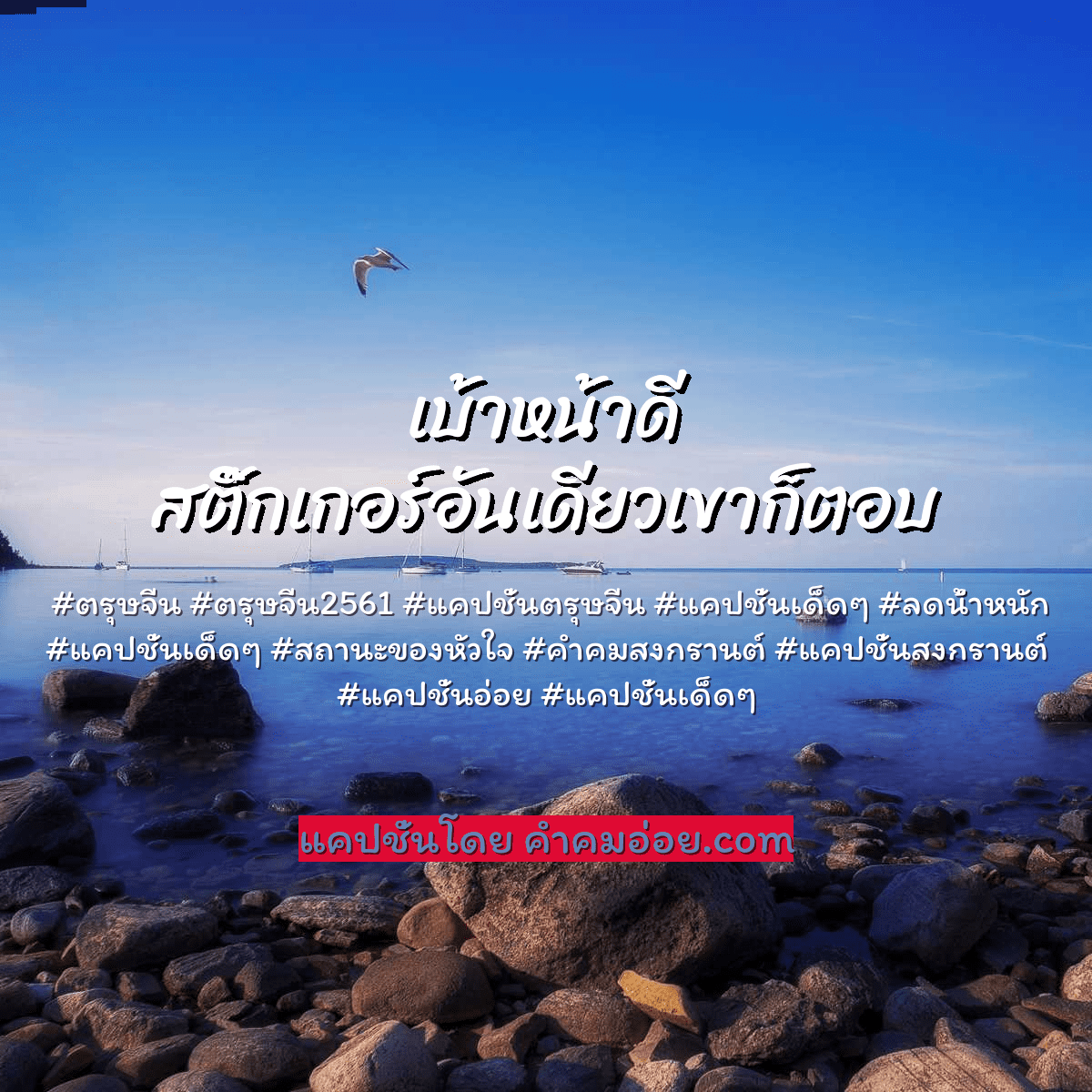 ตรุษจีน2561