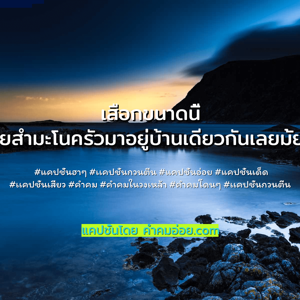 เเคปชั่นกวนตีน