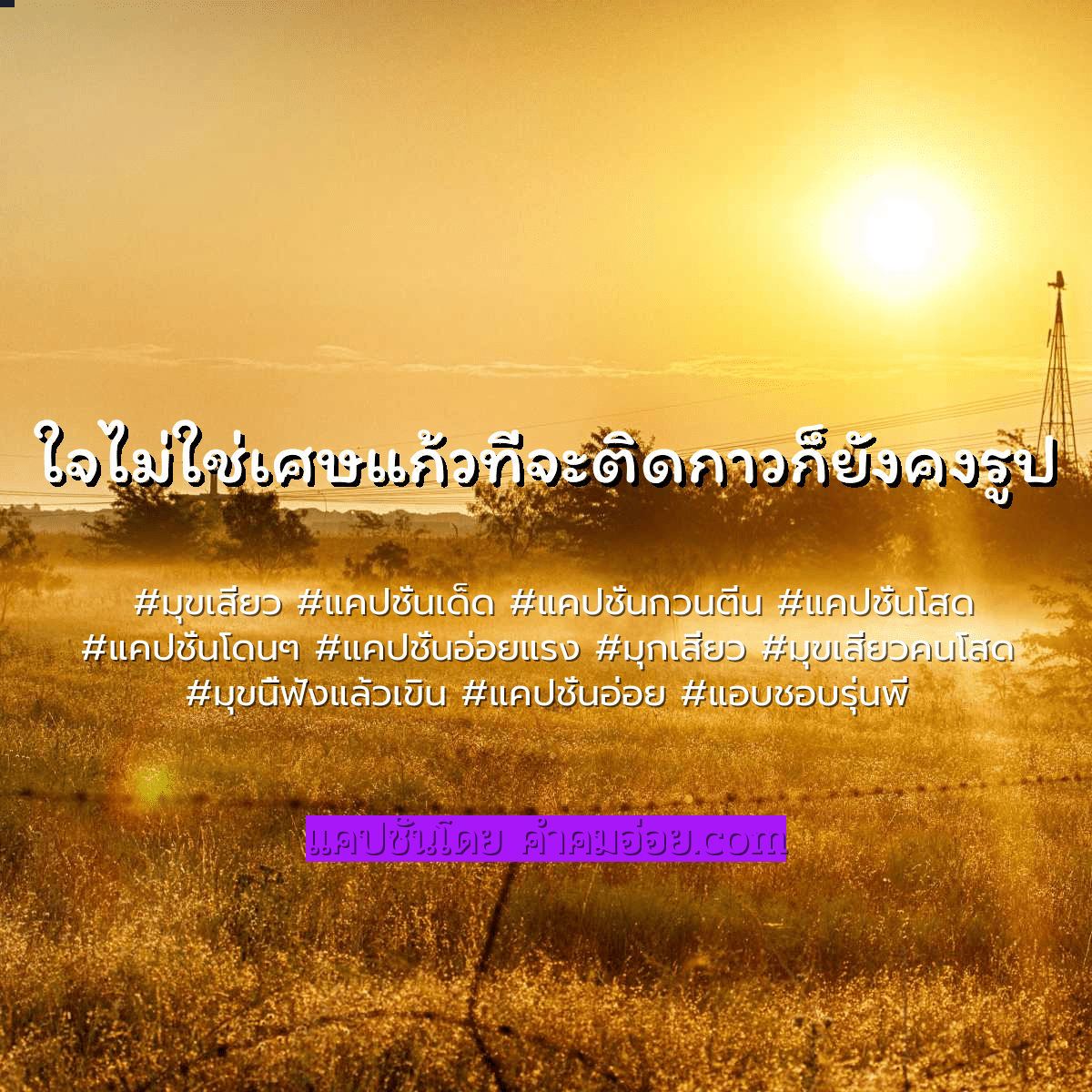 แคปชั่นกวนตีน