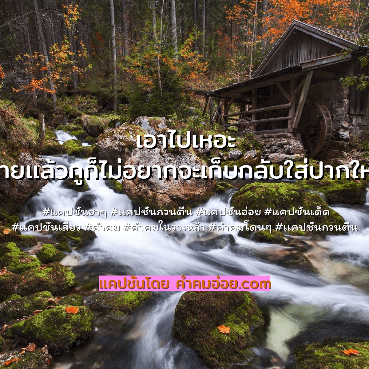 แคปชั่นอ่อย