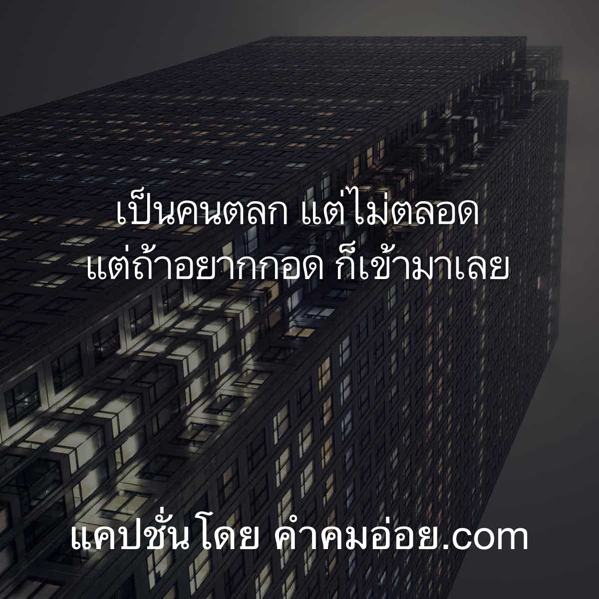 แคปชั่นกวนตีน
