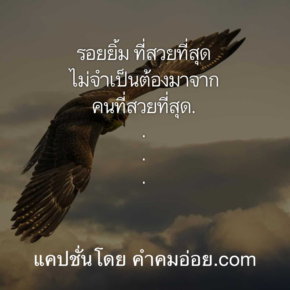 คำคมคนโสด