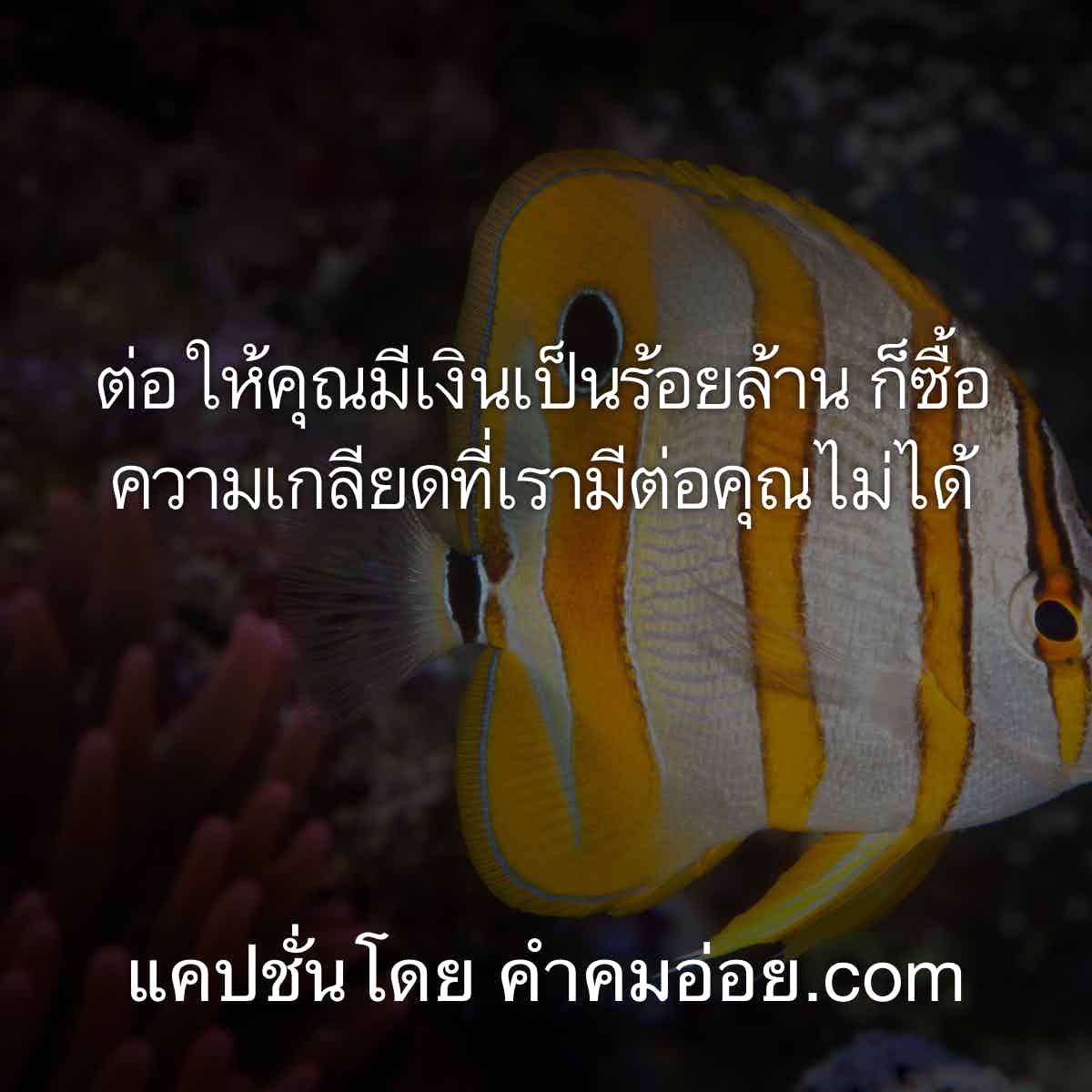 แคปชั่นอ่อย