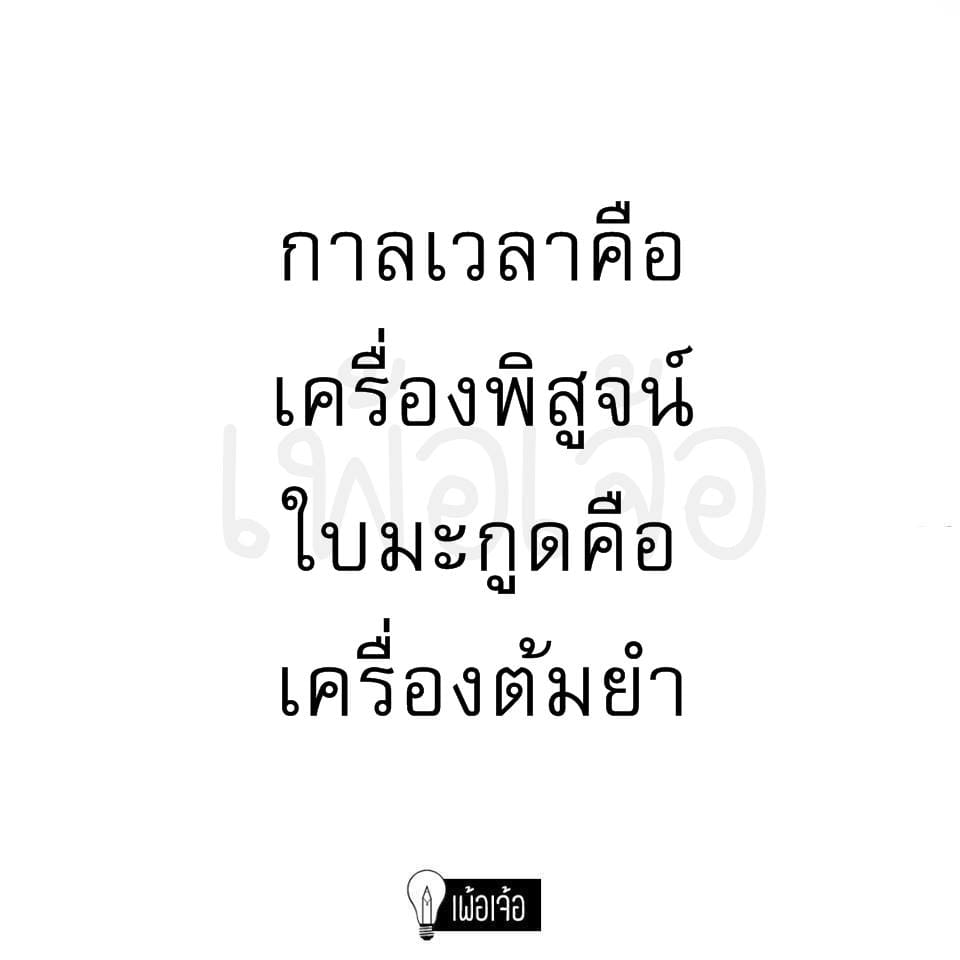 แคปชั่นโสด