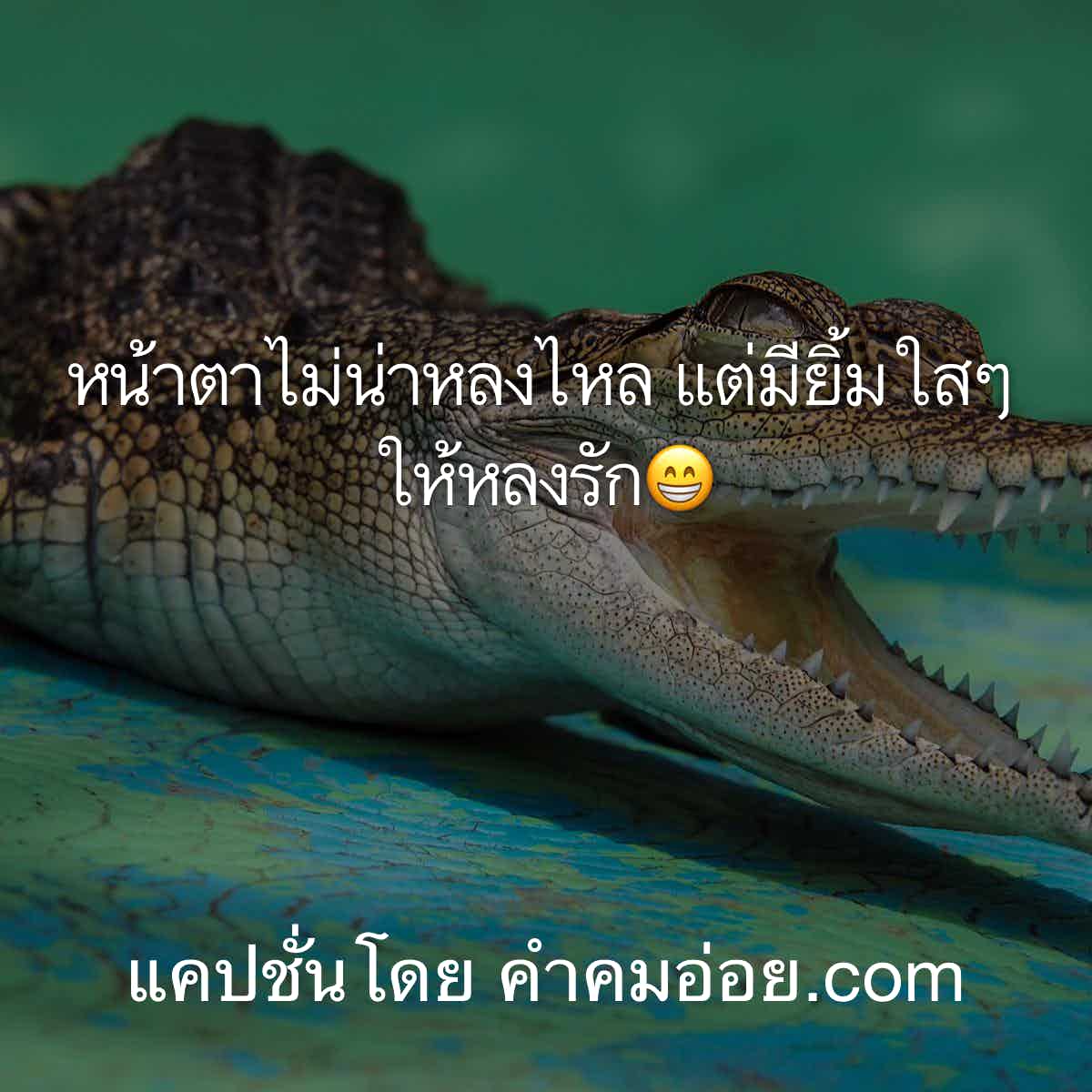 แคปชั่นน่ารัก