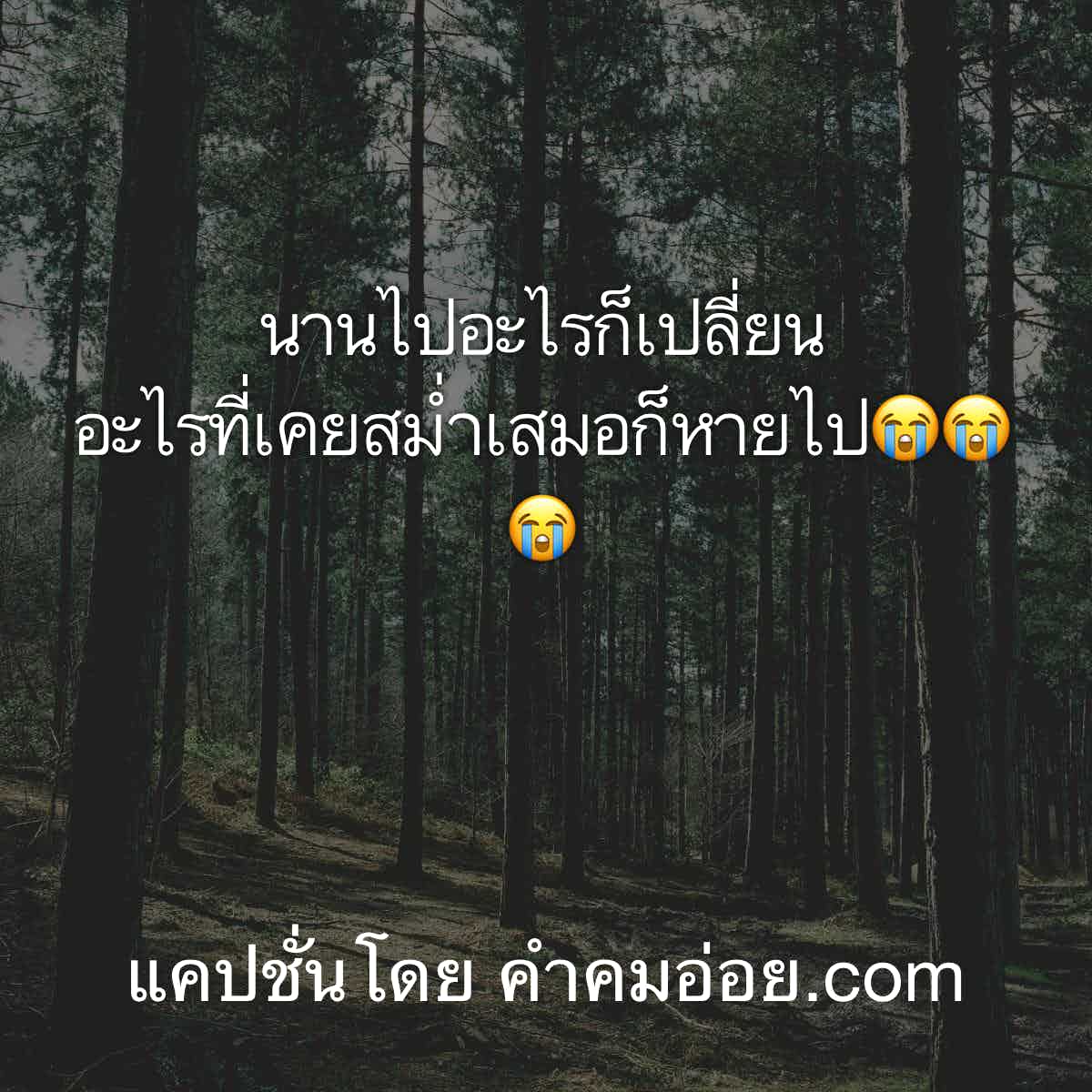 แคปชั่นเด็ด