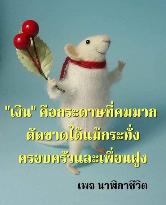 แคปชั่นเด็ด