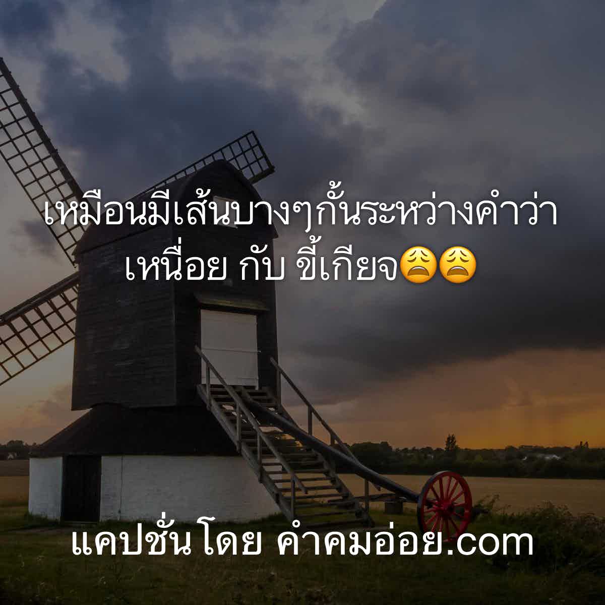 แคปชั่นด่า
