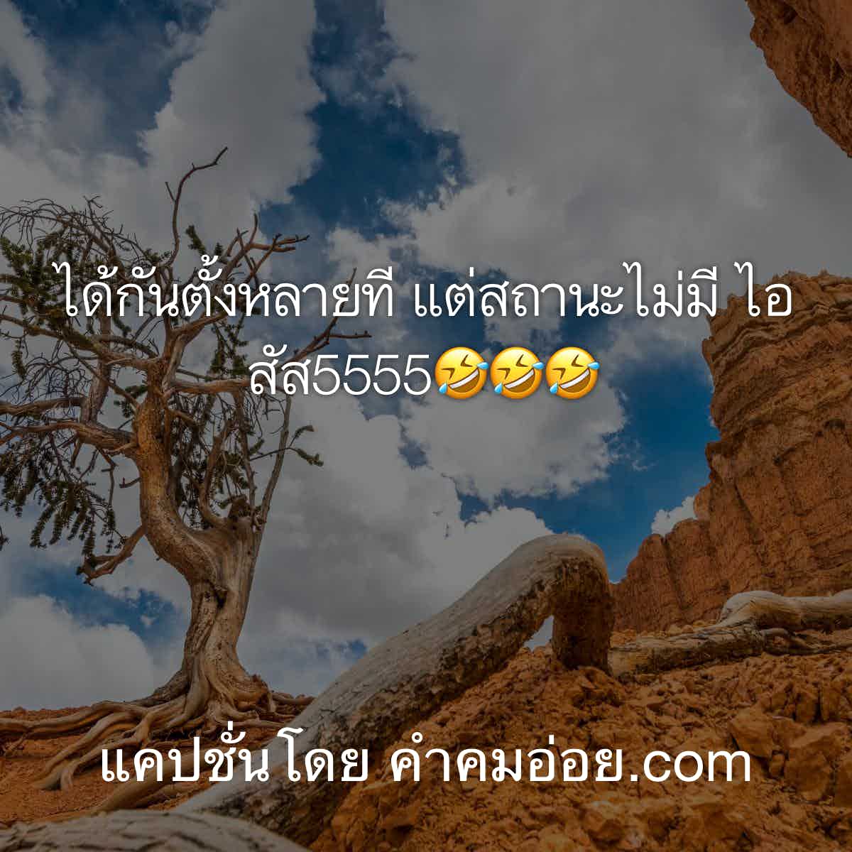 แคปชั่นลอยกระทง