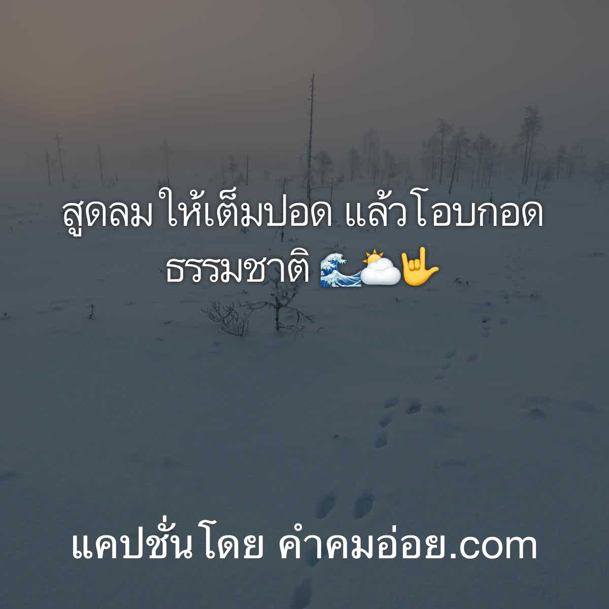 แคปชั่นกวนตีน