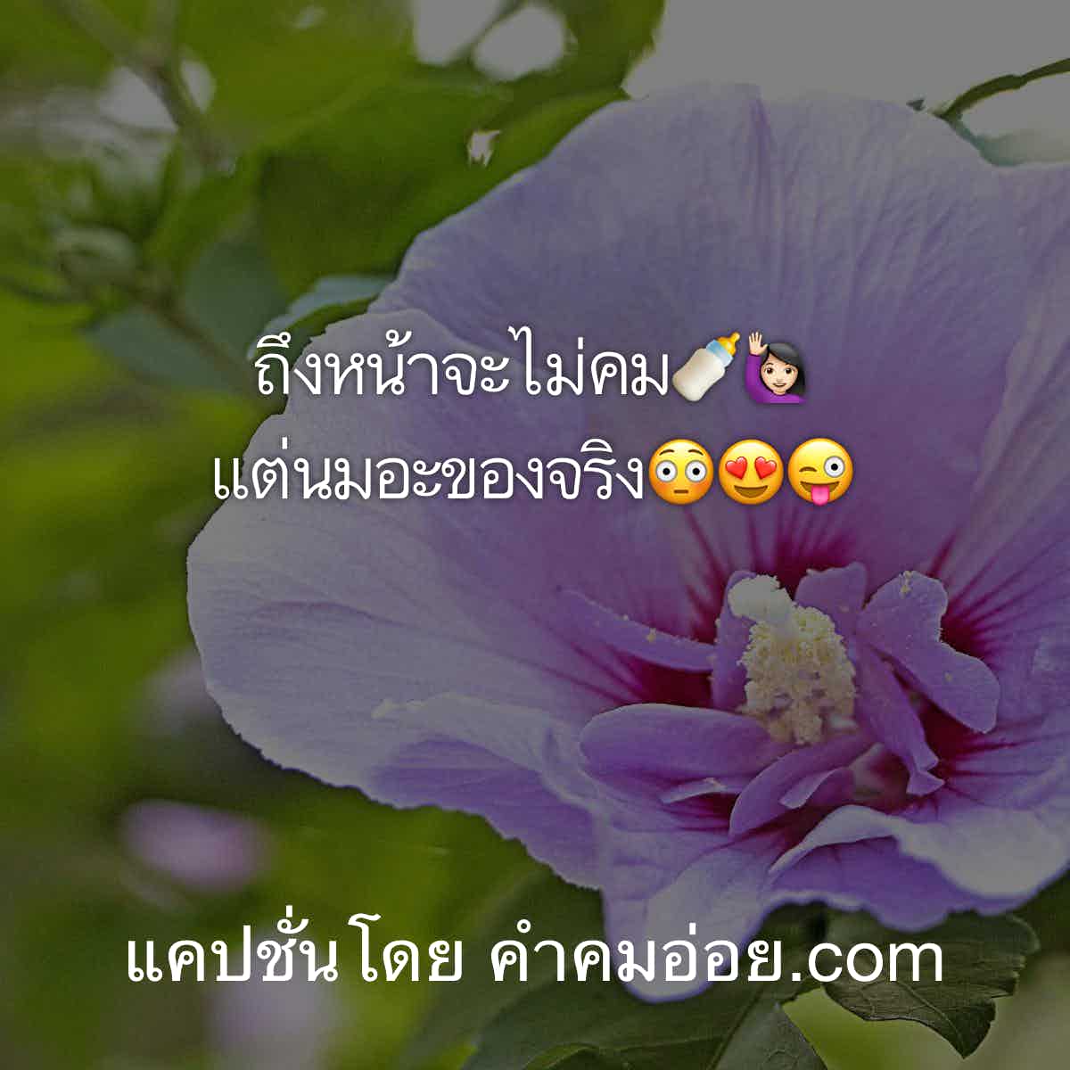 แคปชั่นเด็ด