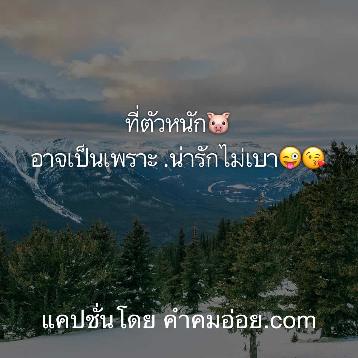 แคปชั่นกวนตีน