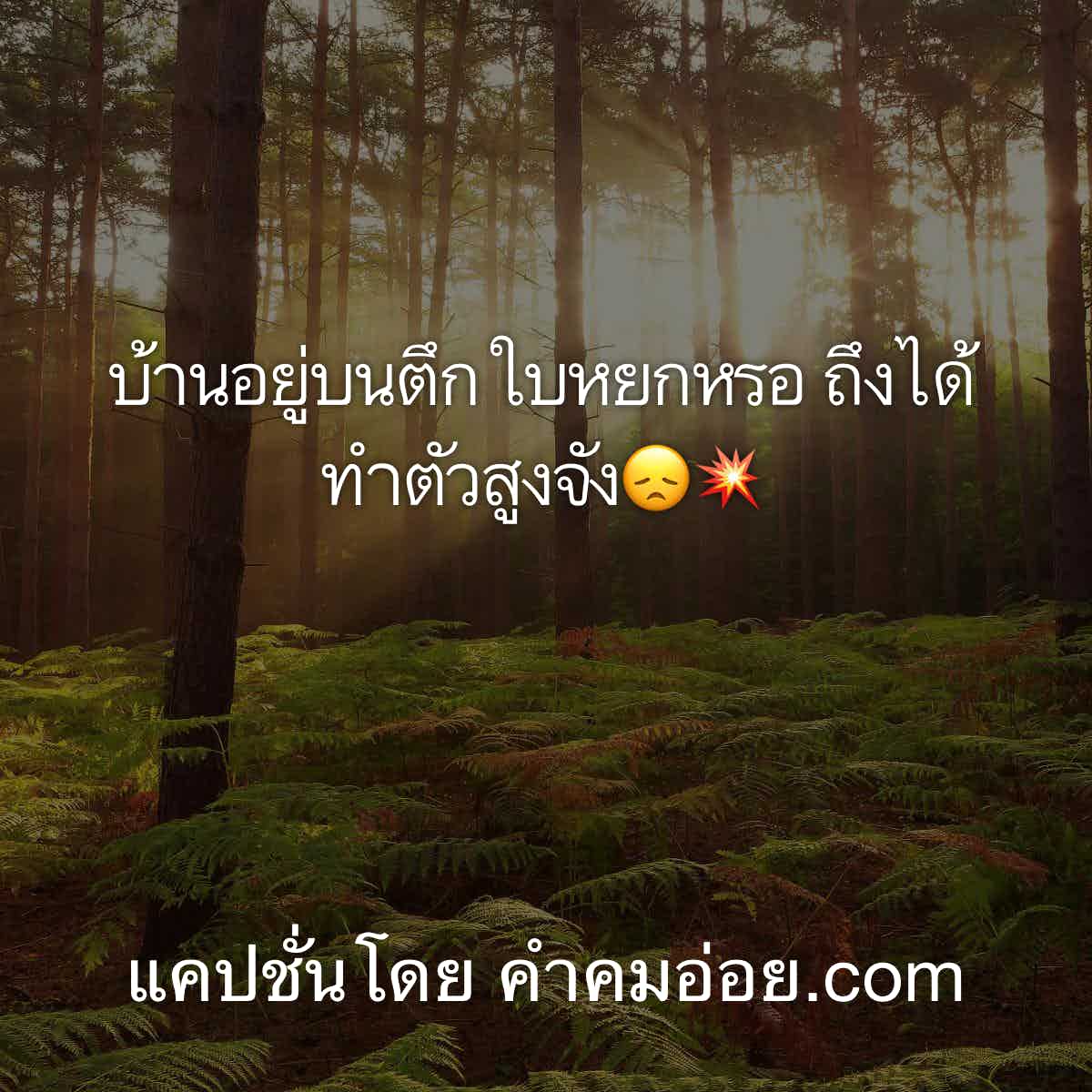 แคปชั่นเด็ด