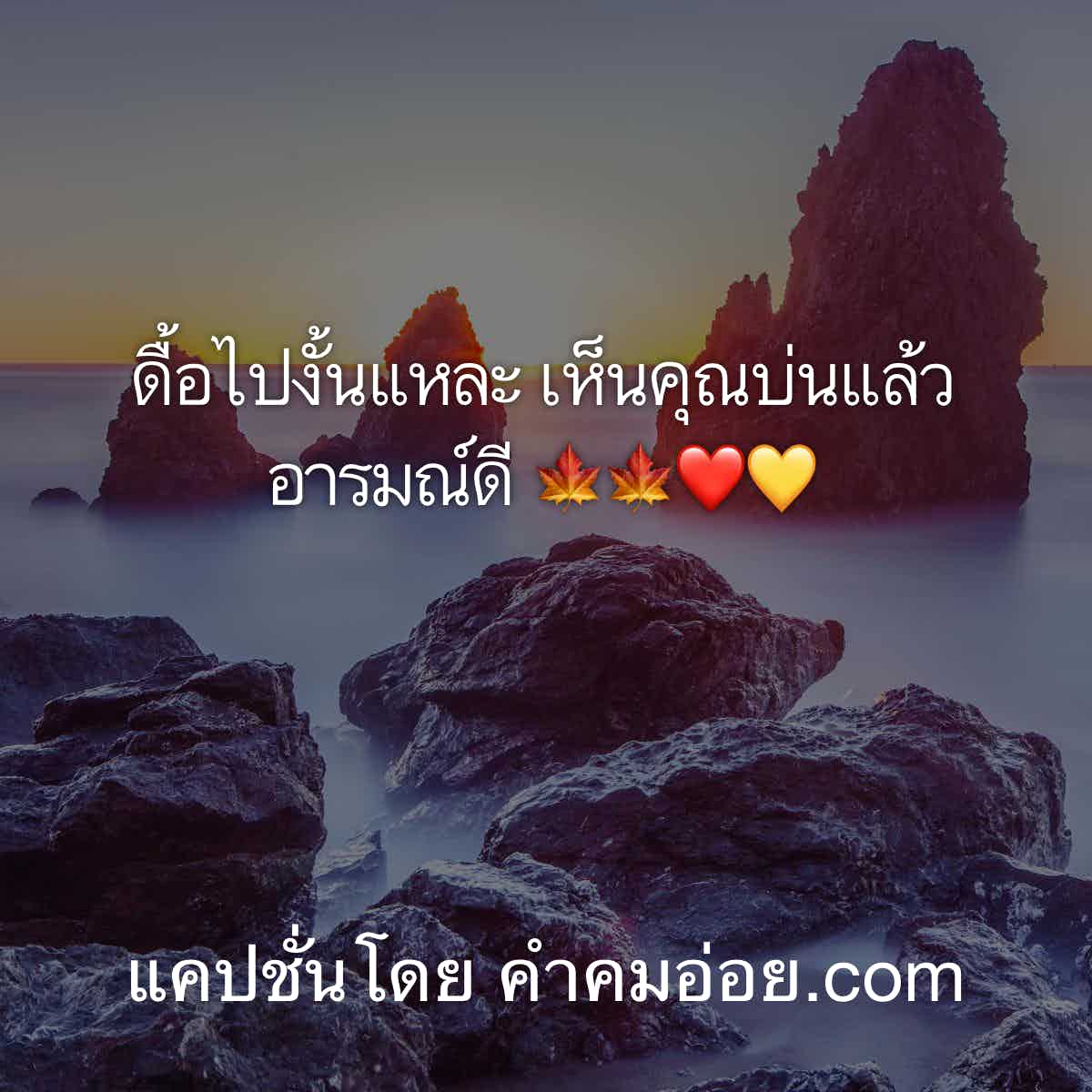 แคปชั่นกวนตีน