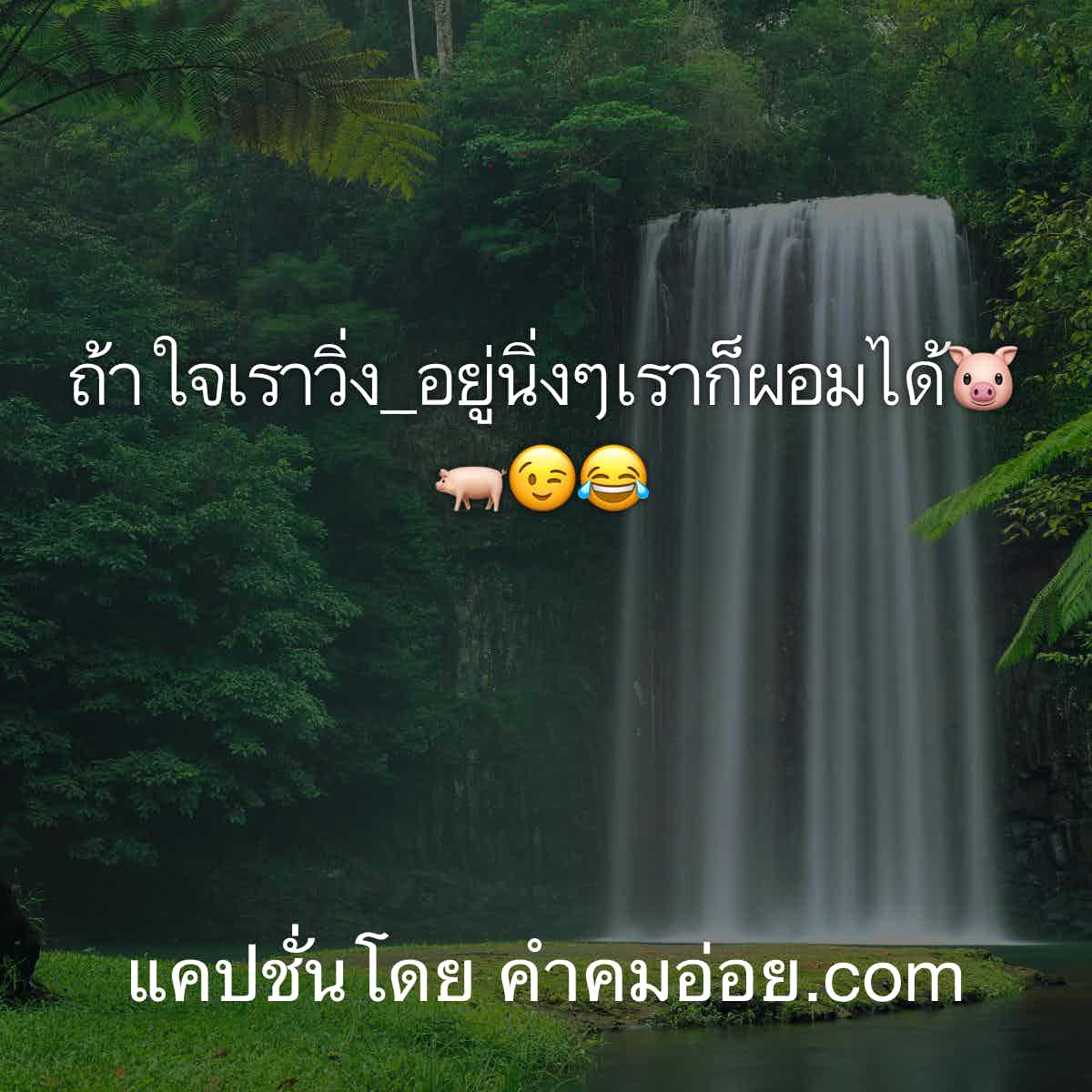 เเคปชั่น