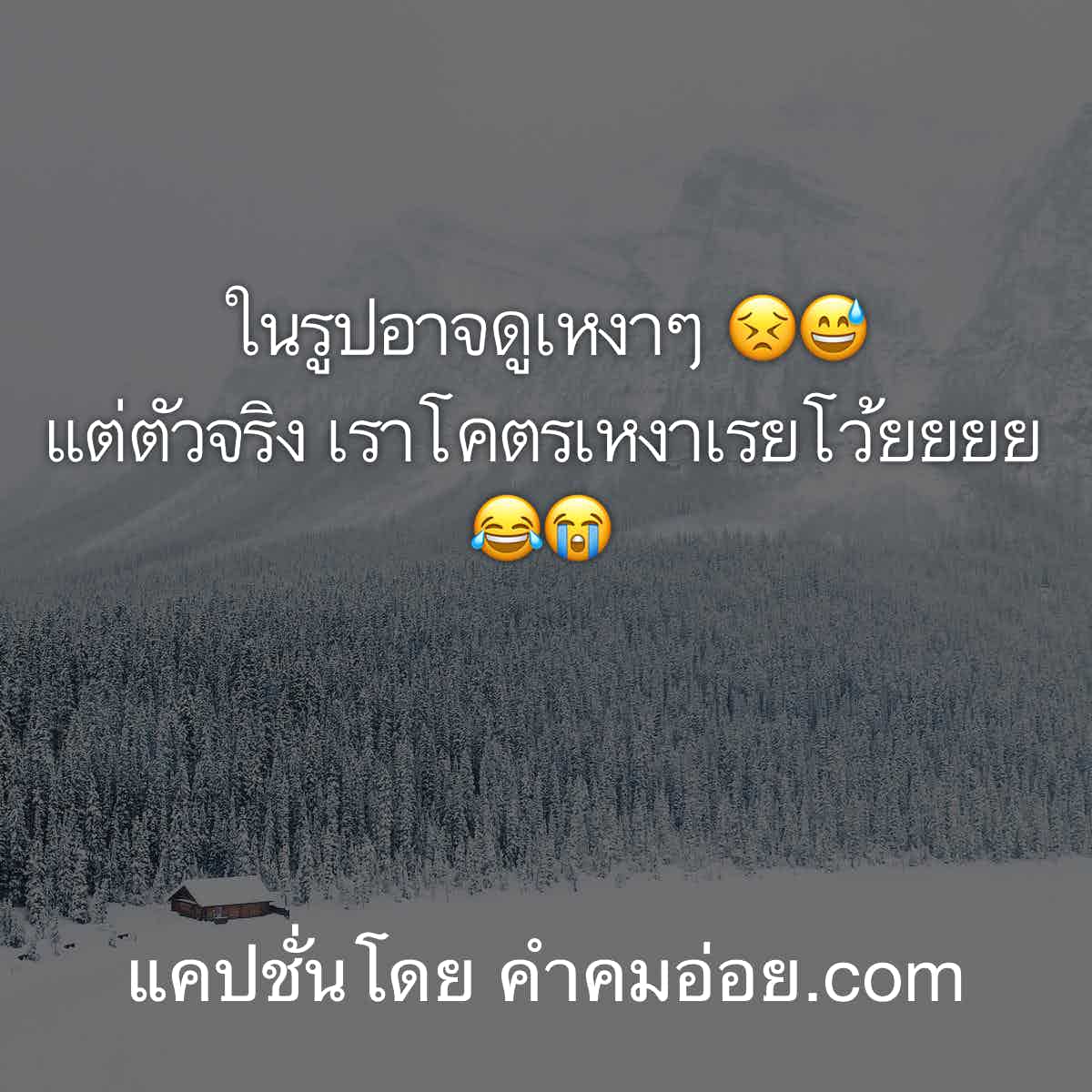แคปชั่น2019