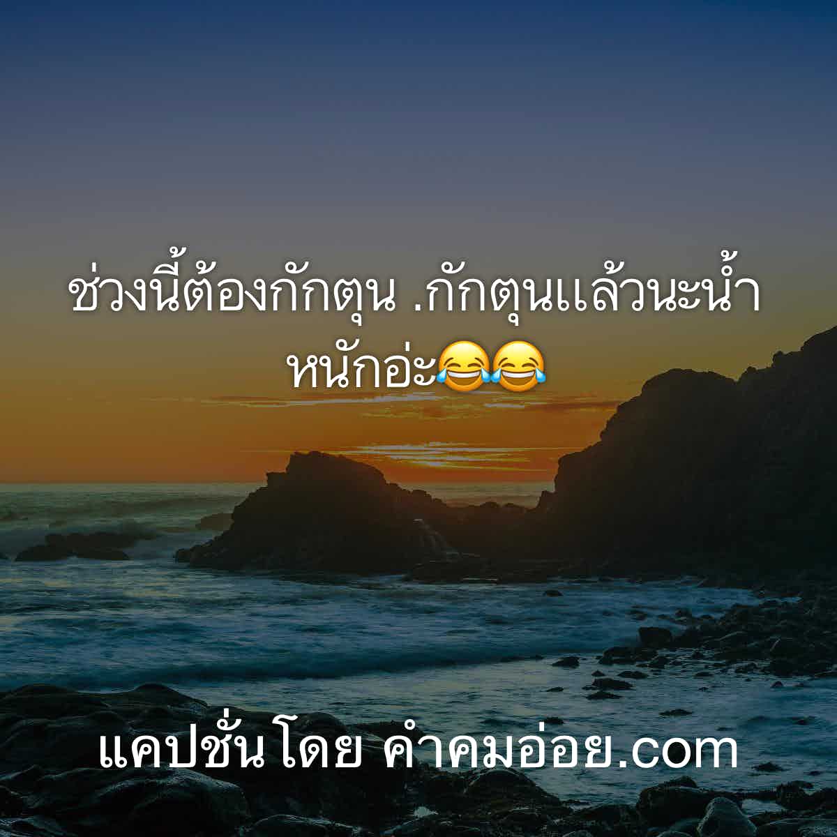 แคปชั่นกวนตีน