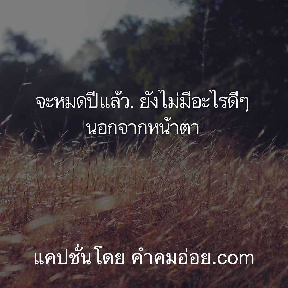 แคปชั่น