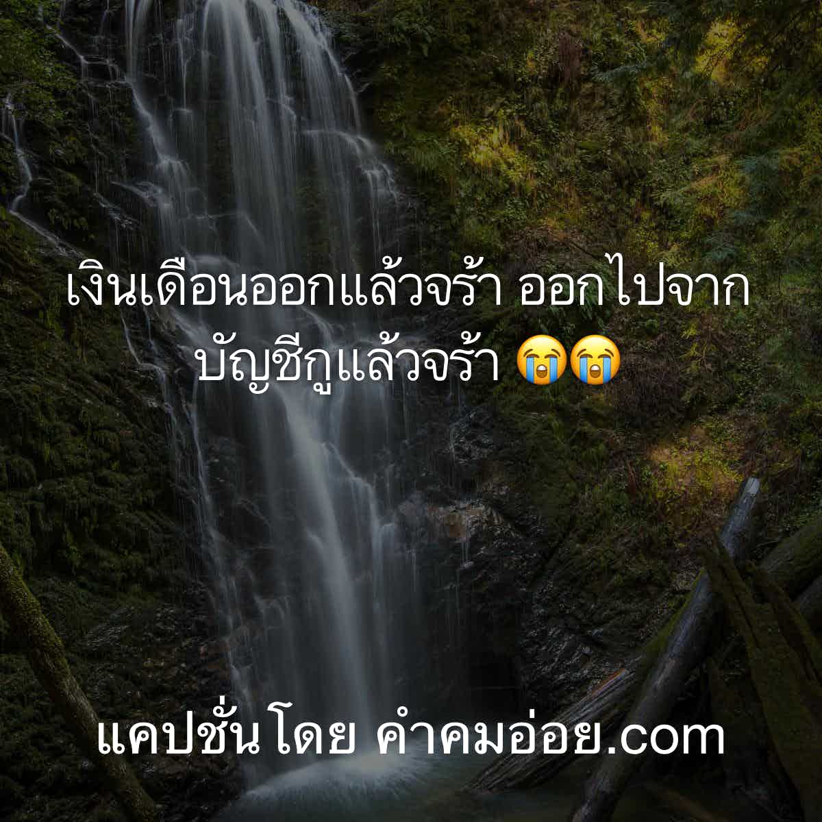 คำคมกาแฟ
