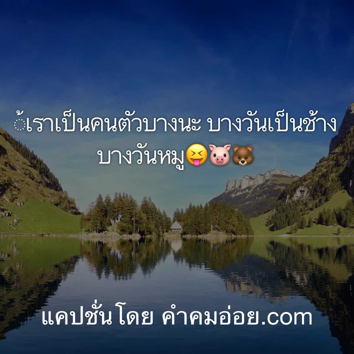 แคปชั่นอ้วน