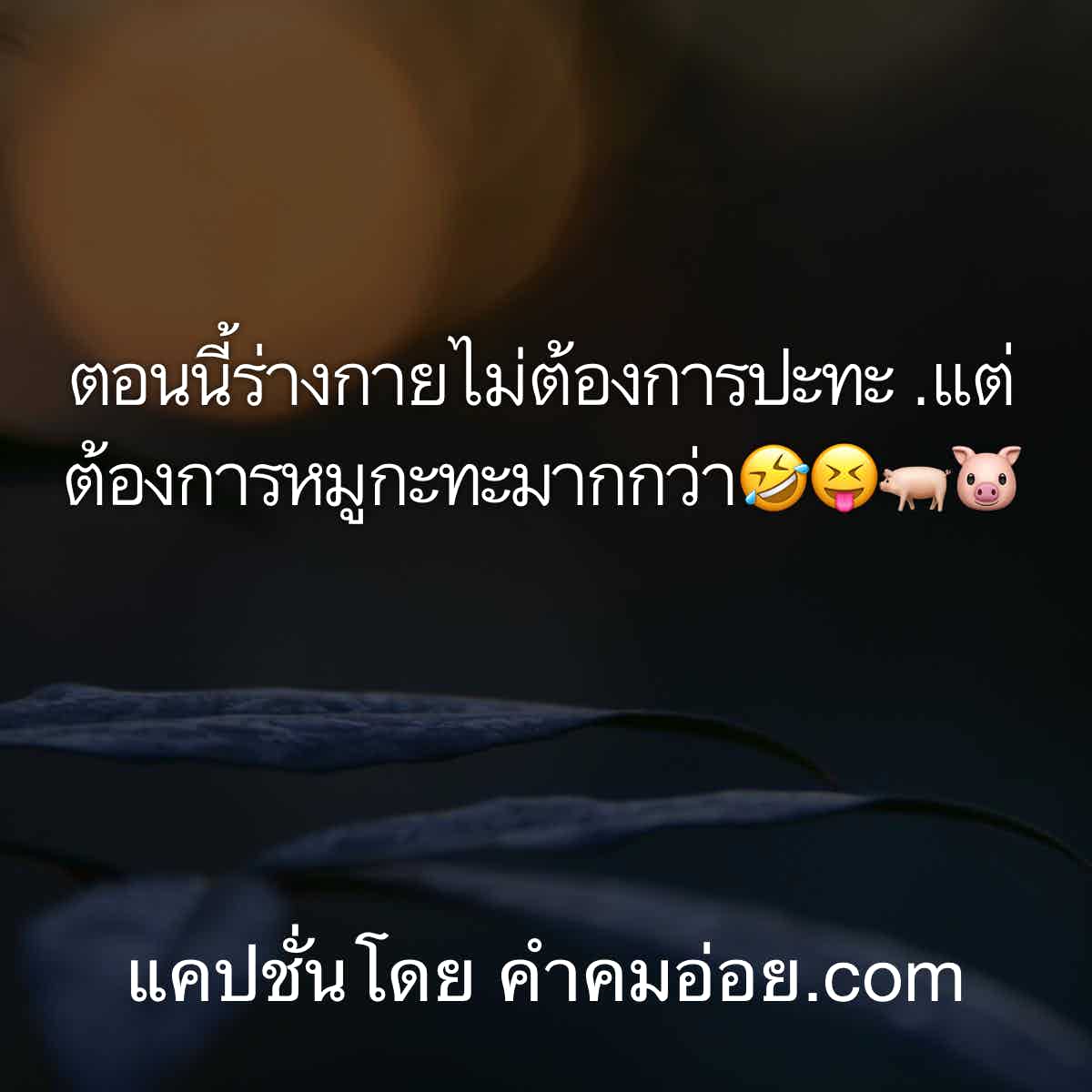 แคปชั่นอ้วน