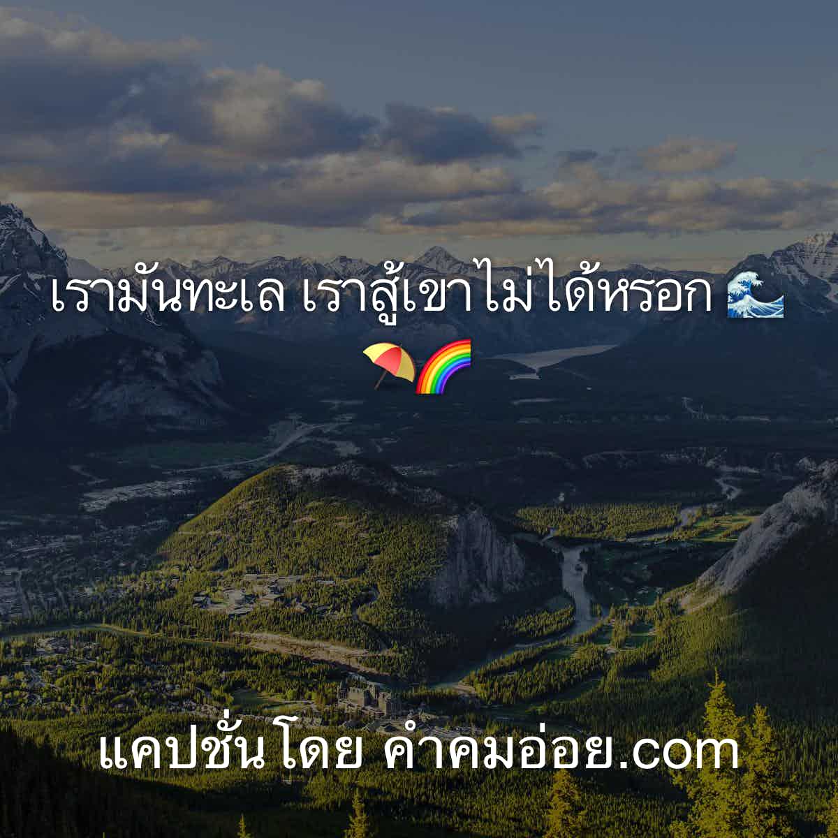 แคปชั่นกวนตีน