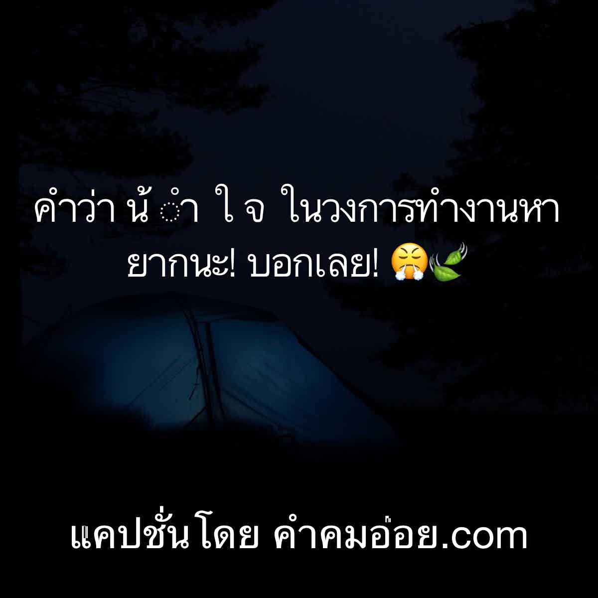 แคปชั่นเด็ด