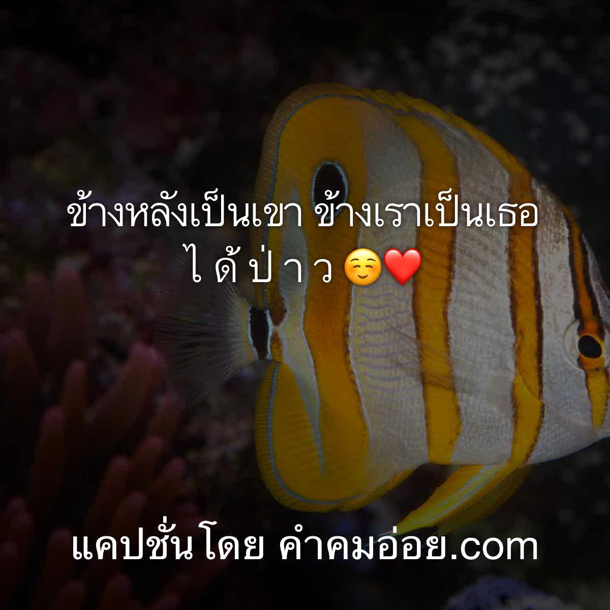 แคปชั่นโดน