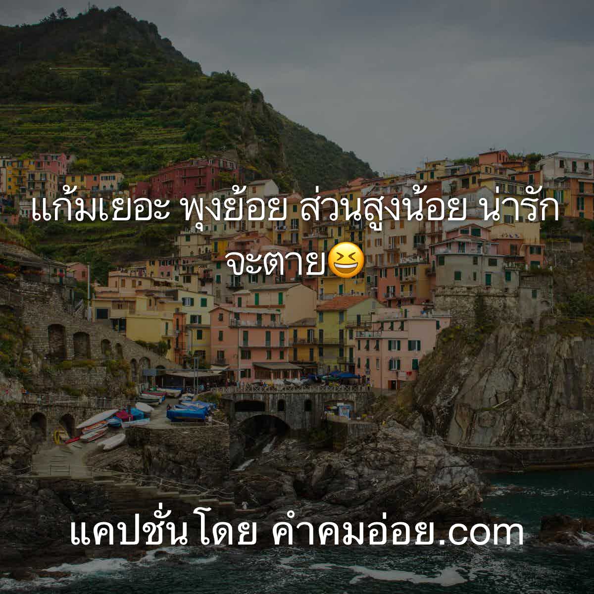 แคปชั่นกวนตีน
