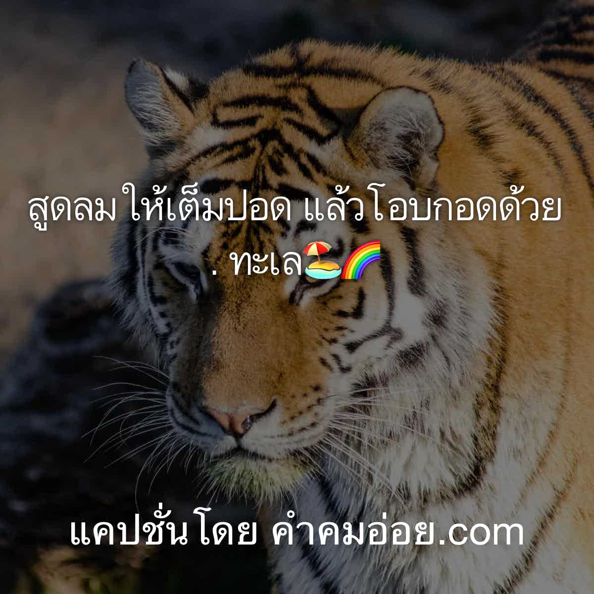 เกาะกูด