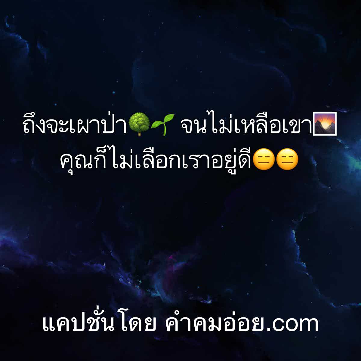แคปชั่นทะเล