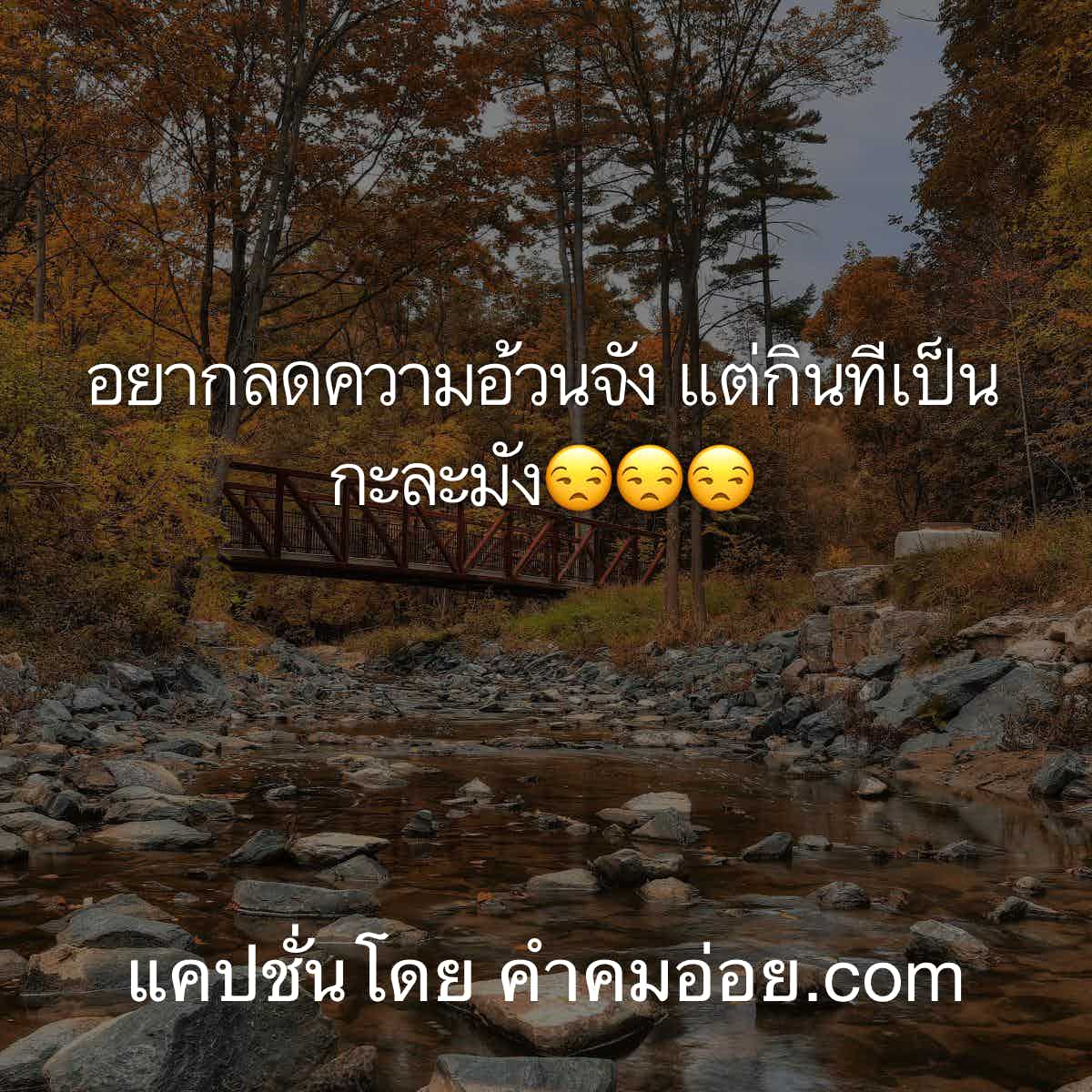 แคปชั่นเหงา