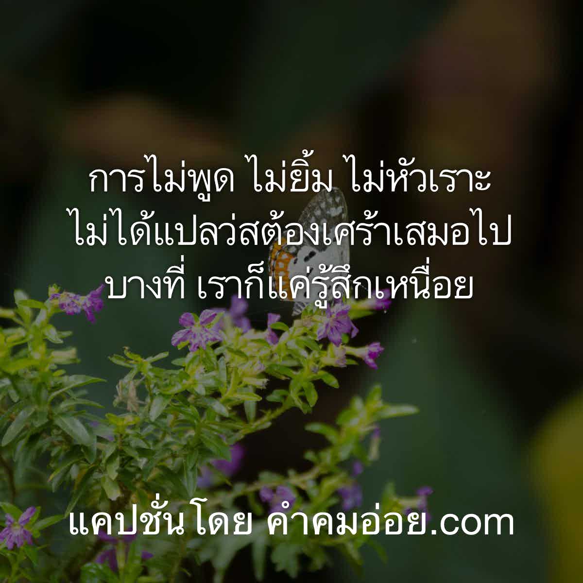 คําคมโดนๆ