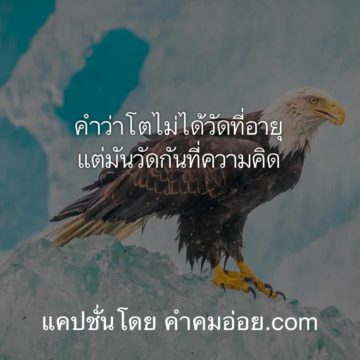 อ่อยยังไงไม่ให้รู้ว่าอ่อย