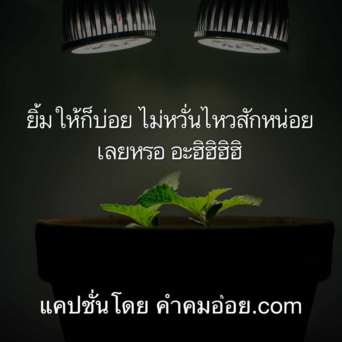 คําคมชีวิต