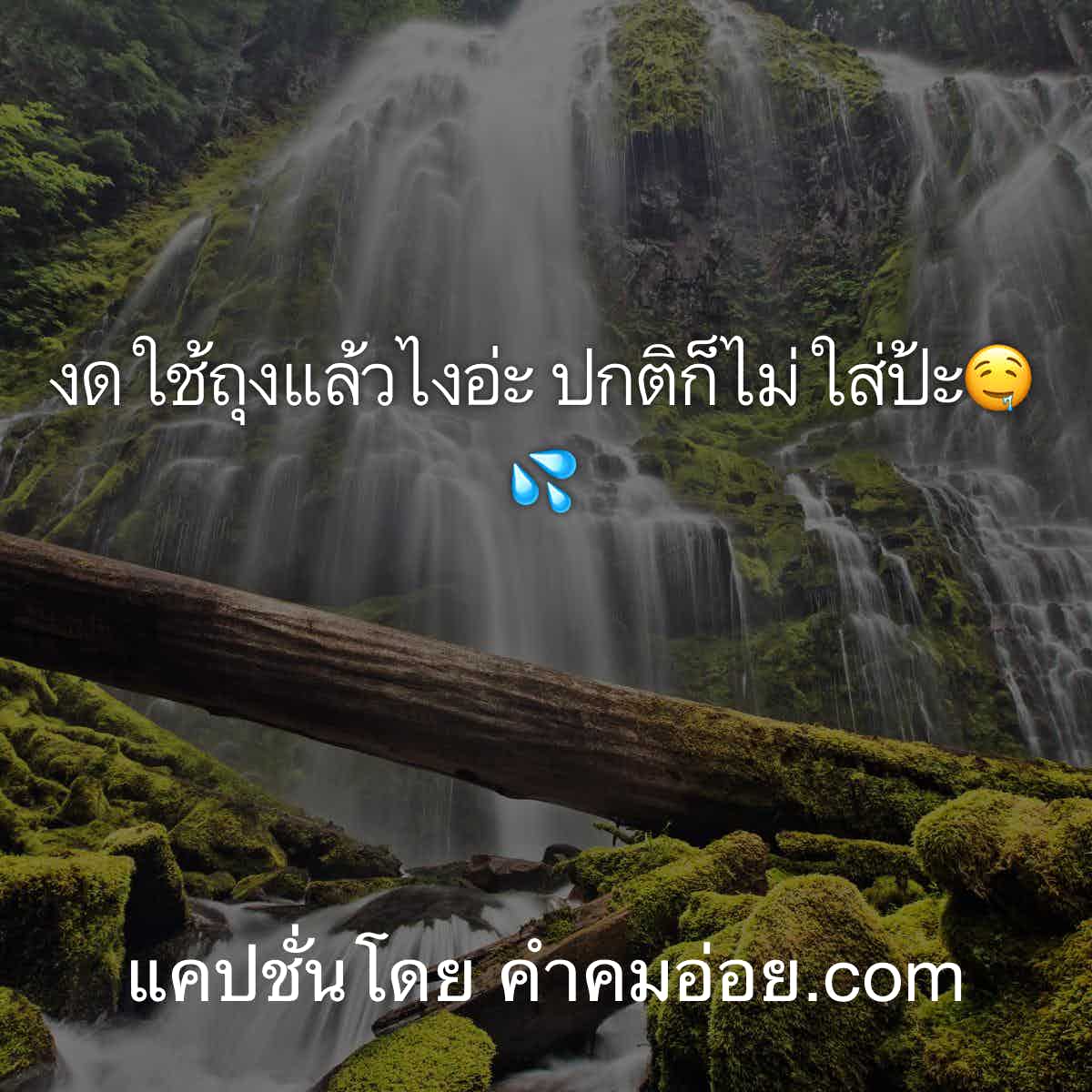 แคปชั่นคนโสด