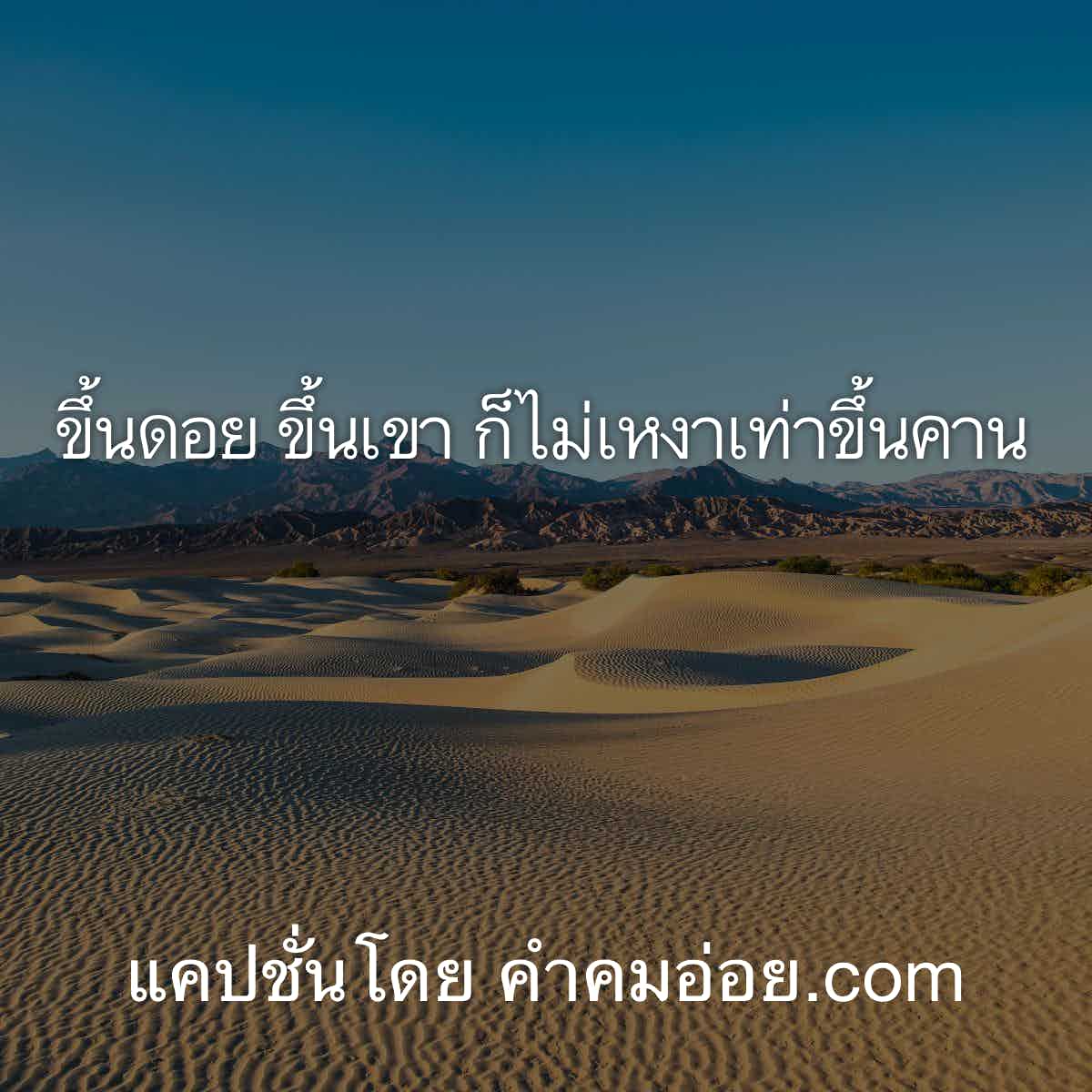 แคปชั่นกวนตีน