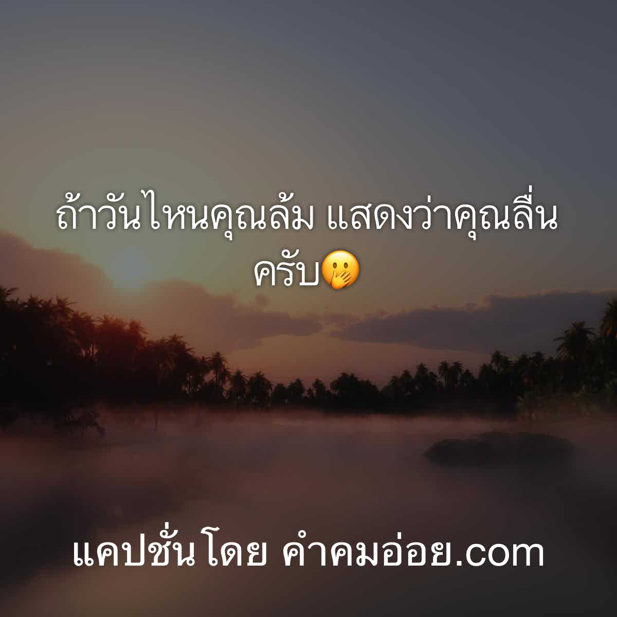 แชร์แปป