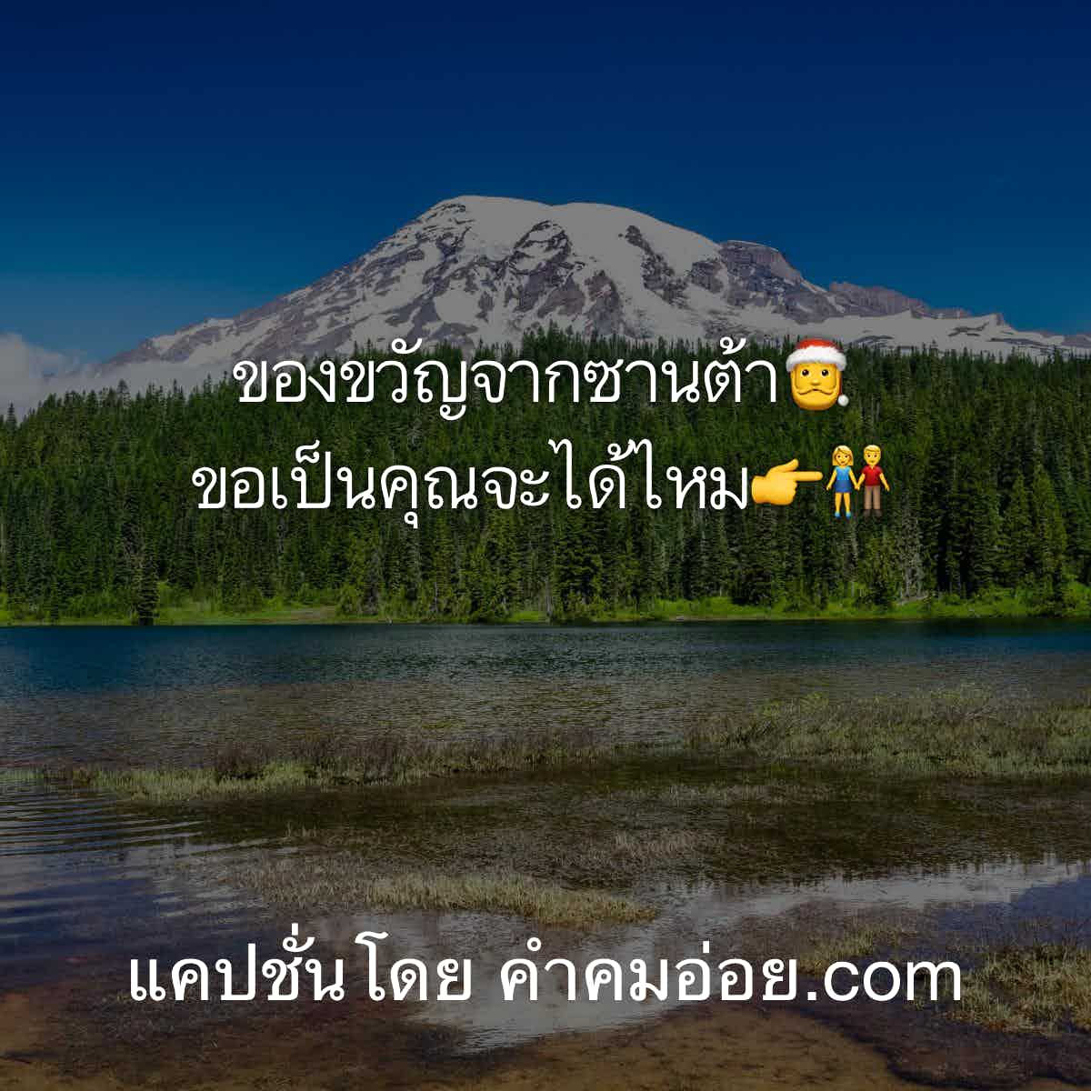 แคปชั่นปีใหม่