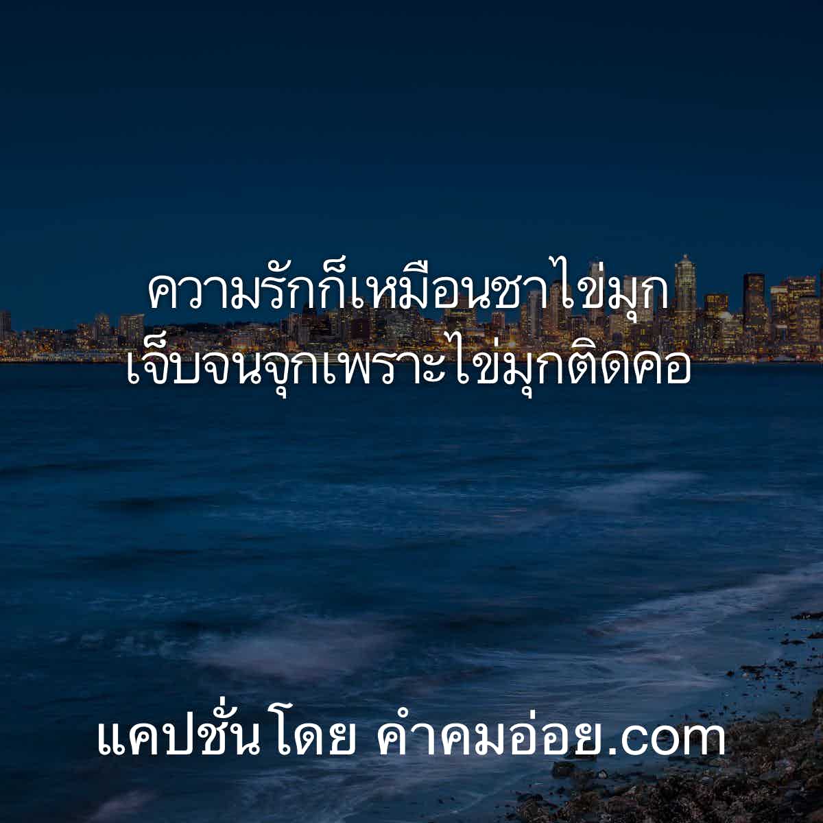 แคปชั่นปีใหม่