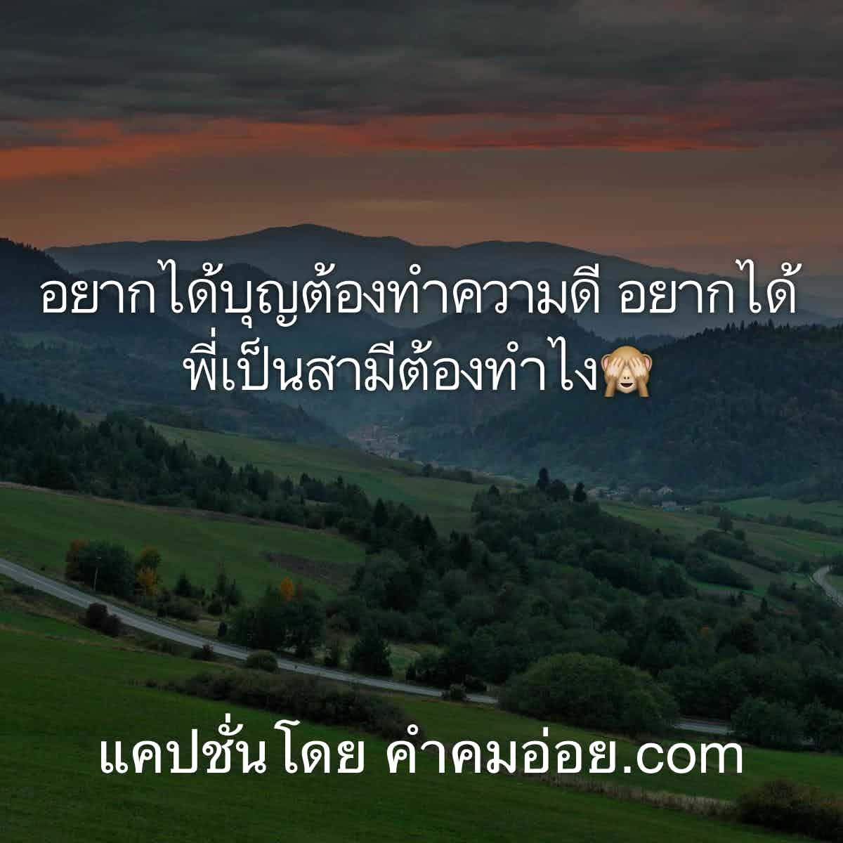 แคปชั่นโสด