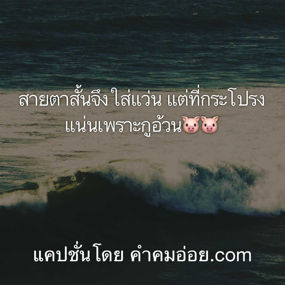 แคปชั่นคอวอยอ