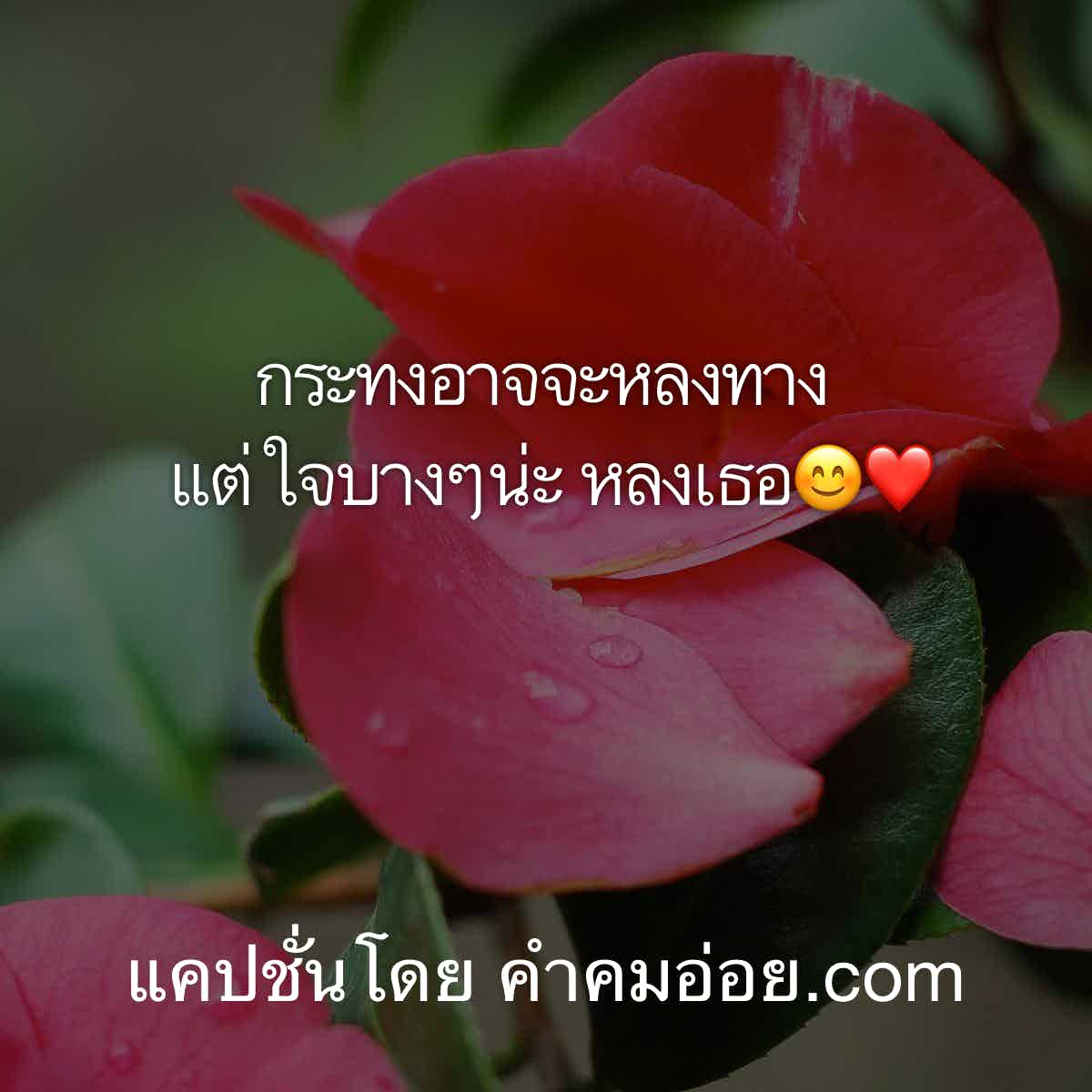แคปชั่นลอยกระทง