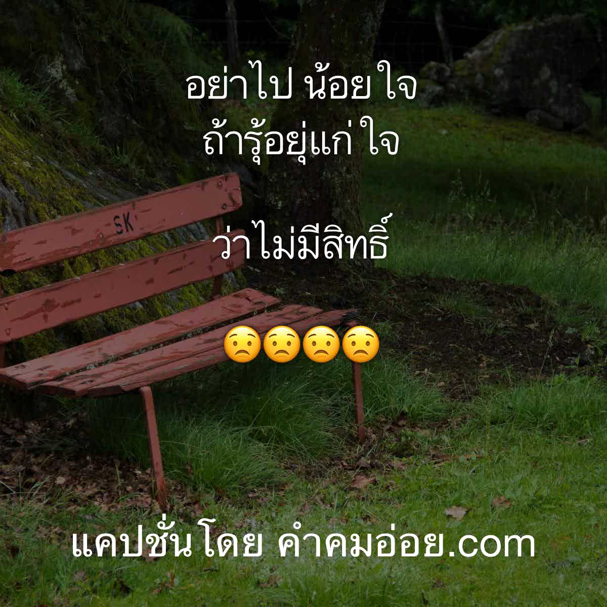 แคปชั่น