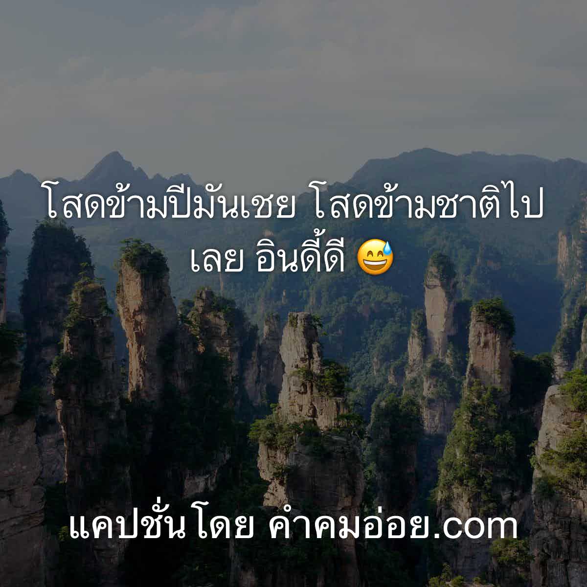 แคปชั่น2019