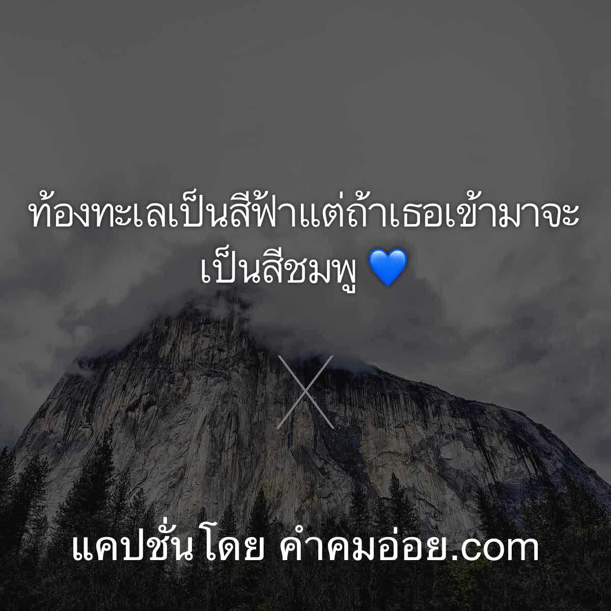 แคปชั่นโสด