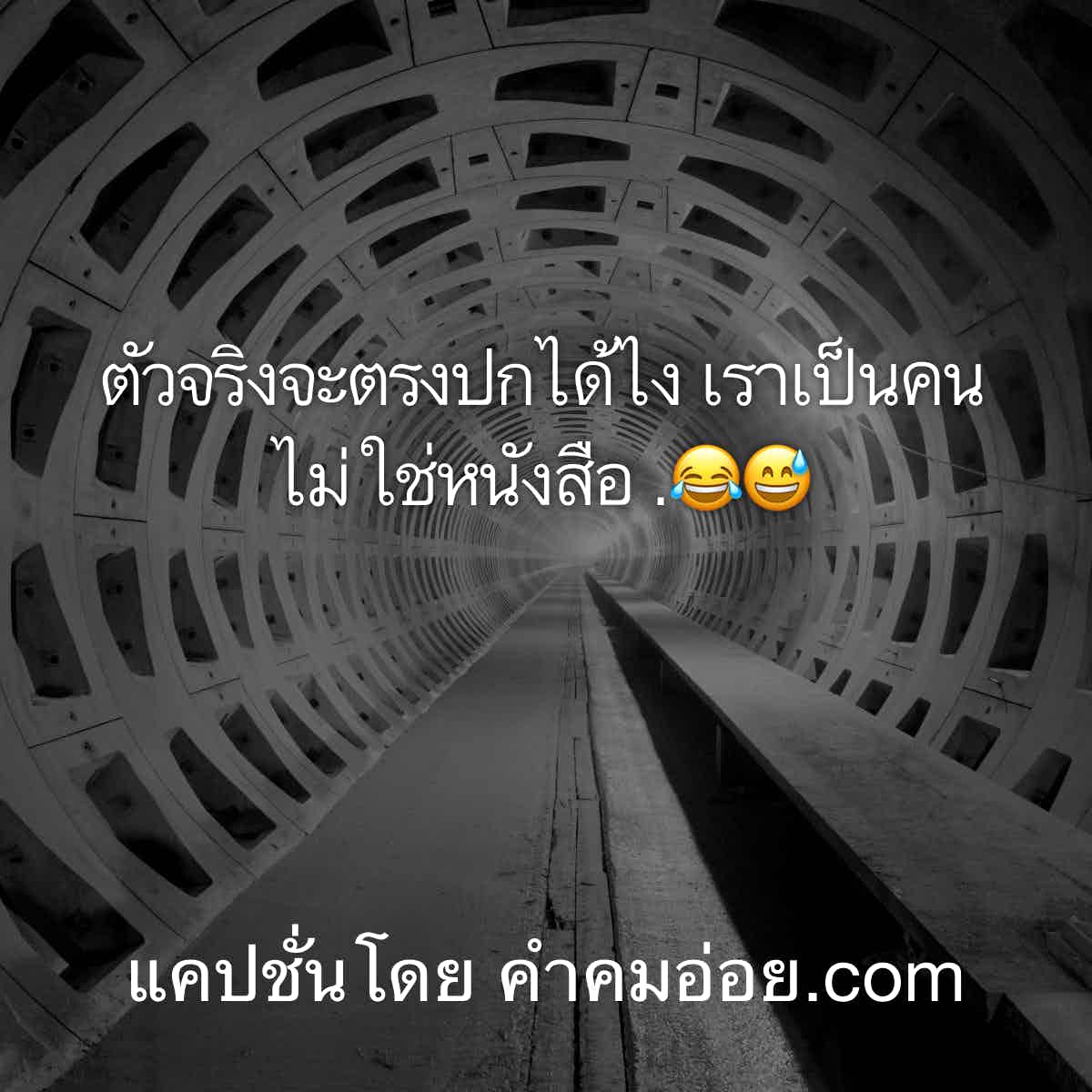 แคปชั่นกวนตีน