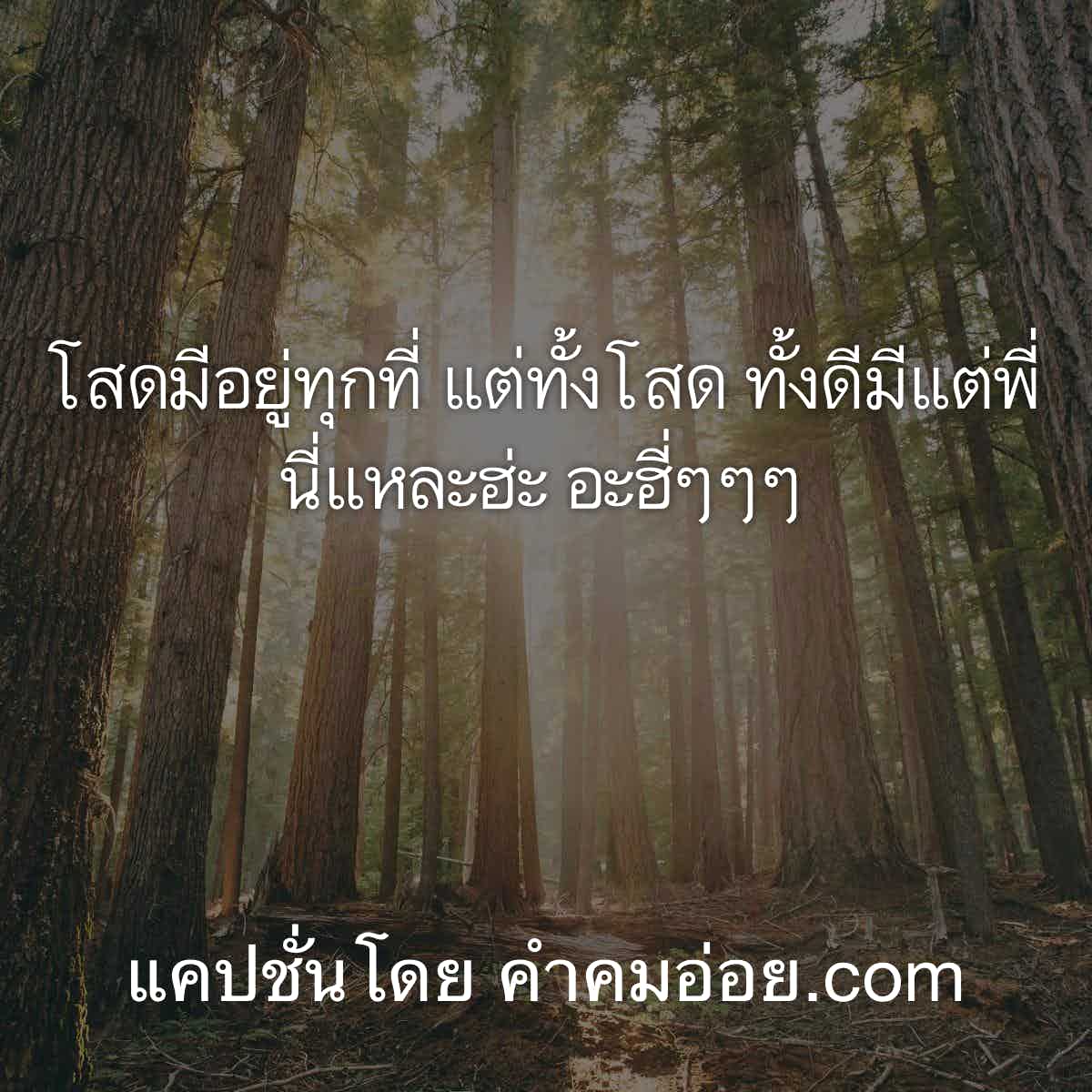 แคปชั่นเด็ด